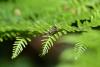 257542 – Photo : Maatah – France (59)